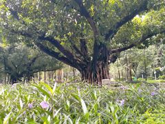 -凌记(泮塘路店)