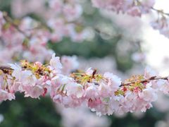 -静安雕塑公园