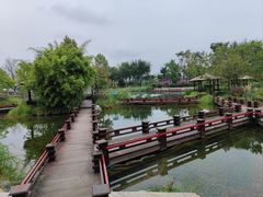 -成飞公园