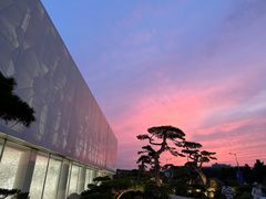 -罗红摄影艺术馆