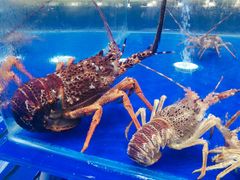 -船家渔(徐州北路店)