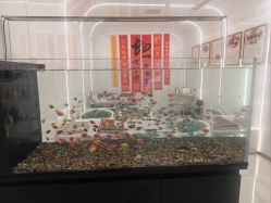 -养月堂中医养生月子会所(中心妇产店)