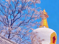-护国法轮寺