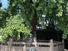 -常熟方塔园