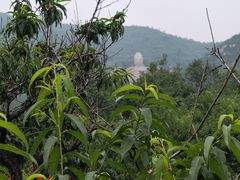 -蒙山大佛景区