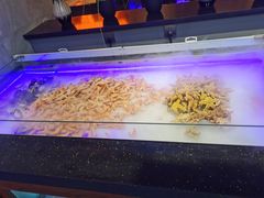 -阳光牧场自助餐厅(宝德购物中心店)