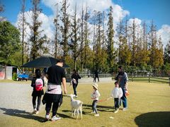 -前小桔亲子创意农场·草莓采摘·露营烧烤