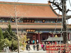 -天津大悲禅院