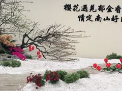-南山植物园
