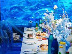 -海合安青岛极地海洋公园