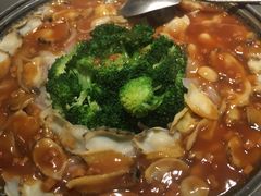 -铂米星座(瑞安店)