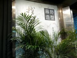 点击看大图 -藤野造型·专业烫染店