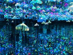 -天津梵高星空艺术馆(天河城旗舰店)