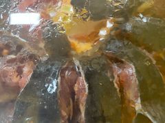 -弘烨 贵州酸汤 鱼火锅(东财店)