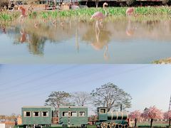 -盈香心动乐园