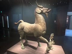 -广西壮族自治区博物馆