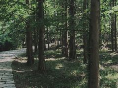 -小格里自然风景区