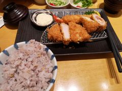 -胜博殿日式炸猪排(西红门店)