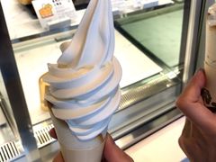 芝芝雪糕-喜茶(广州荔湾领展广场店)