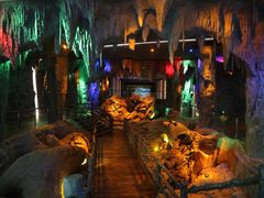 -乐山乌木文化博览苑