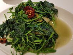 炝炒红薯尖-眉州东坡(中日友好医院店)