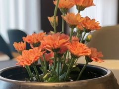 -喜湘宴·精致湖南菜(和平西桥店)