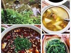 -青城甲(青城山店)