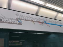 -大龙山(地铁站)