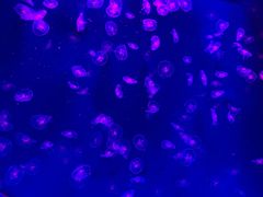 -沈阳海洋探索中心