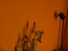 -泰古龙抓龙筋·spa按摩(静安店)