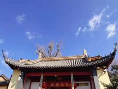 -狼山风景名胜区