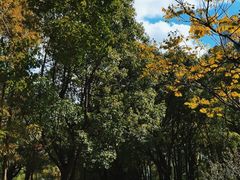 -中国浦东干部学院