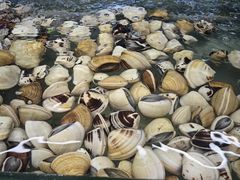 -钱塘府海鲜餐厅