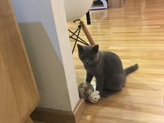 -壹人壹像工作室(购物公园店)