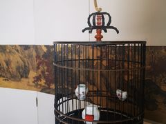 -潮上潮(南中环店)