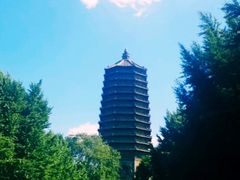 -玲珑塔公园