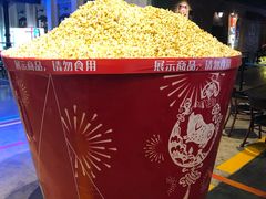 -万达影城 (甘井子万达广场IMAX店)