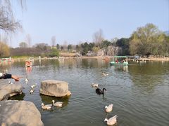 -西安秦岭野生动物园