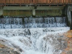 -广州白江湖森林公园