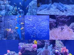 -成都浩海立方海洋公园