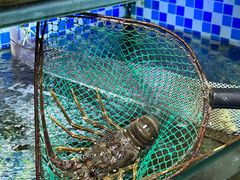 -揽季锅物会.福建黄鱼.海鲜姿造(五四路店)