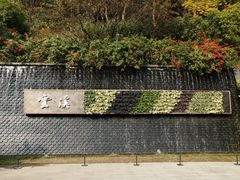 -云溪植物园
