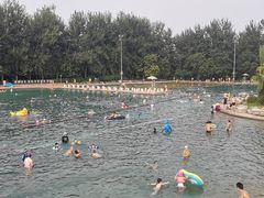 -柳浪游泳场