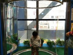 -大阪儿童乐园