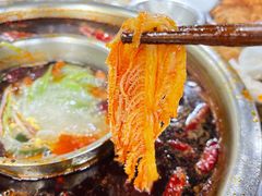 千层肚-渝味黄姐火锅(黄泥村店)