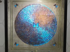 -上海昆虫博物馆