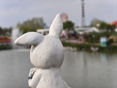 -荷兰花海