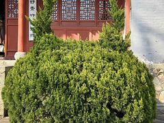 -泰山风景名胜区-普照寺