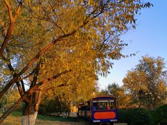 -永定河休闲森林公园