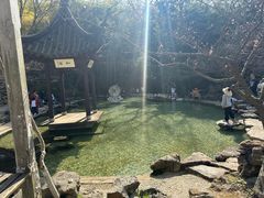 -镇江市南山风景名胜区竹林景区